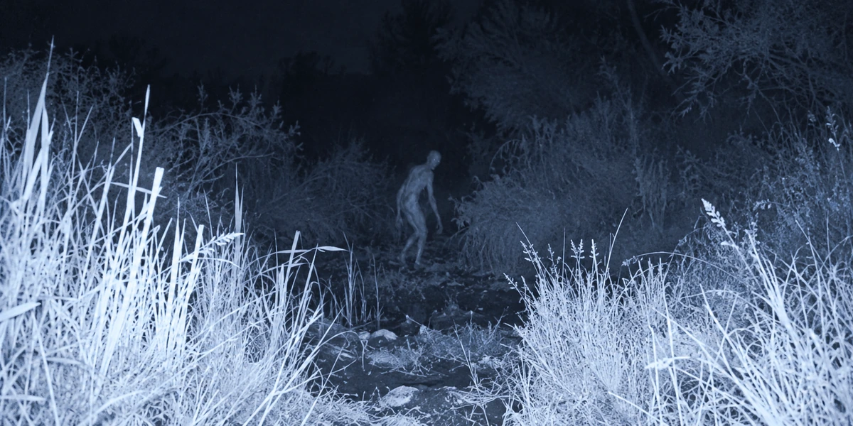 Something Was Walking Through an Arizona Ditch at 2:22 A.M.