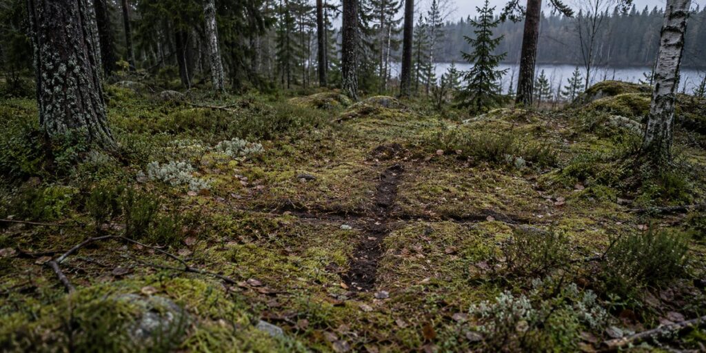 Sweden Has a Cross-Shaped Hole in the Ground. Nobody Knows Who Made It